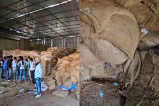 SHAJAPUR WAREHOUSE WHEAT WASTED