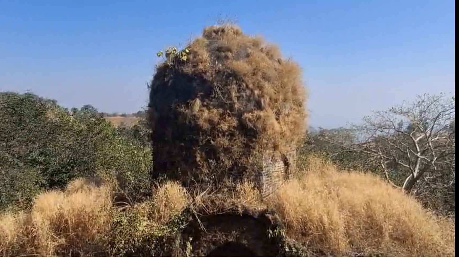 magnificent tomb of Fatehullah Imad Shah at Gavilgad