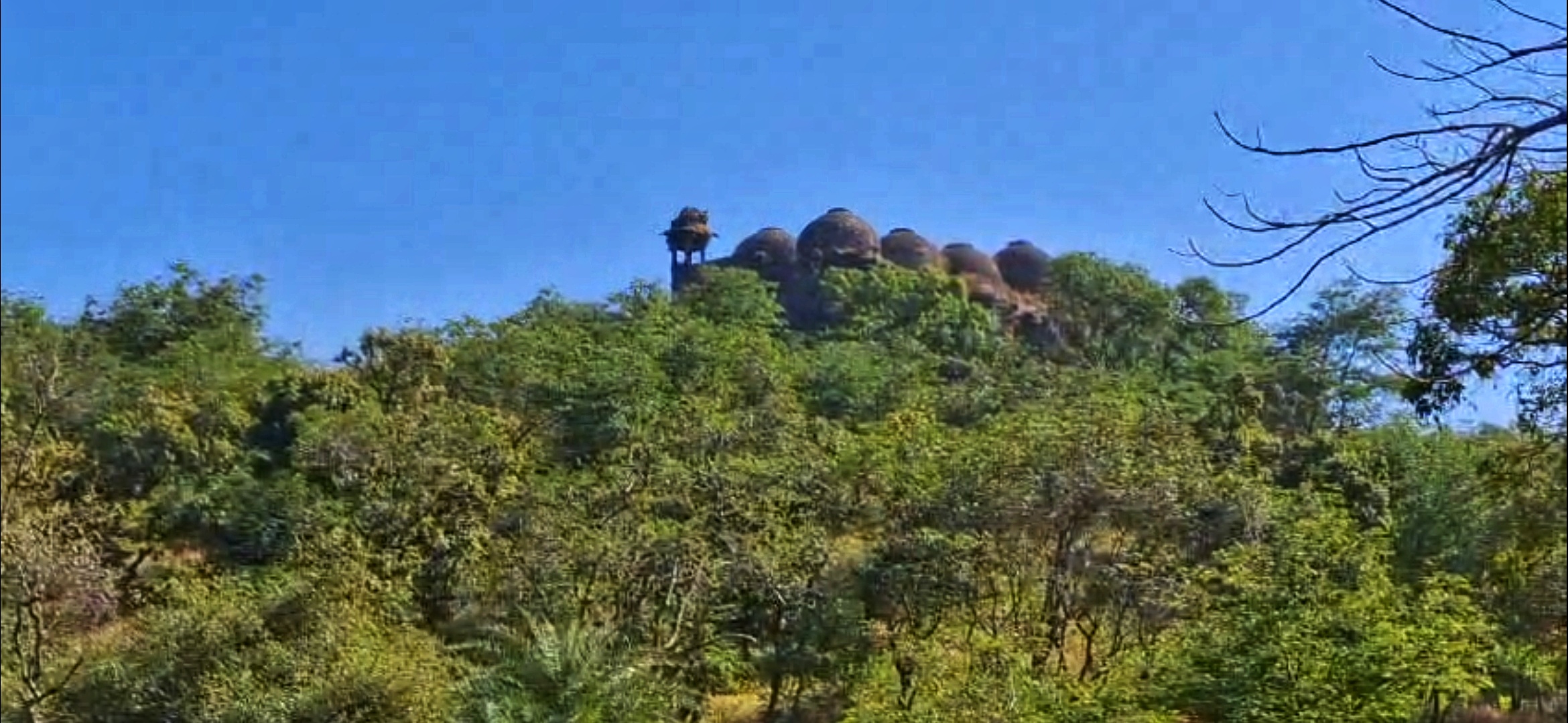 magnificent tomb of Fatehullah Imad Shah at Gavilgad