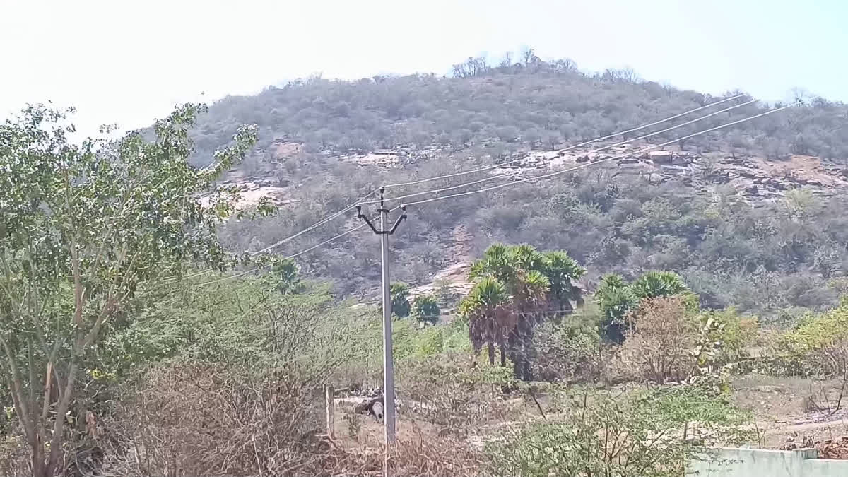 Illegal Mining Pedda Gutta in Warangal District