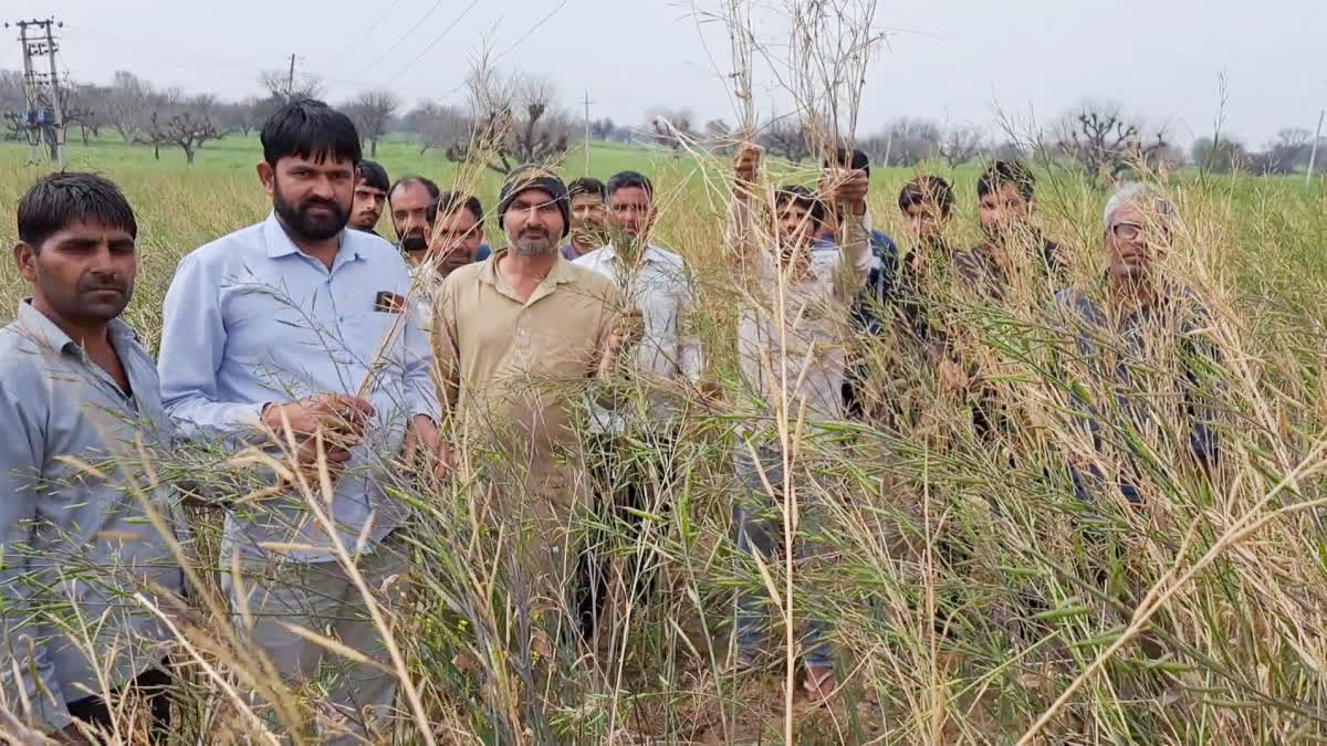 Farmers Protest Charkhi Dadri