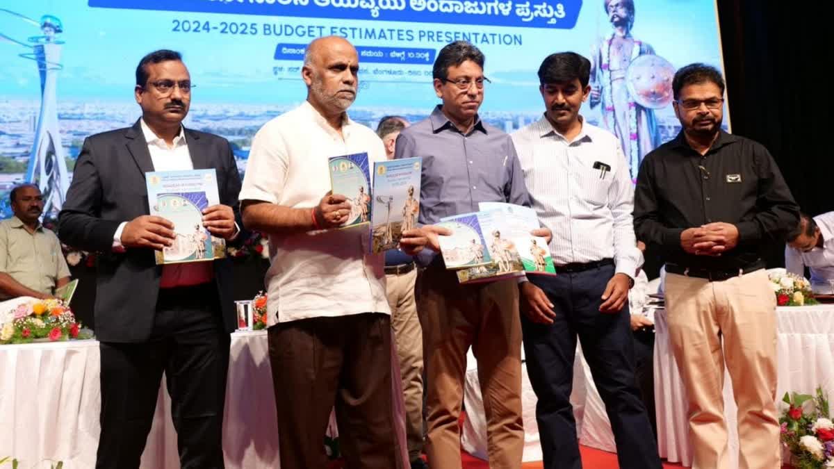 BBMP budget