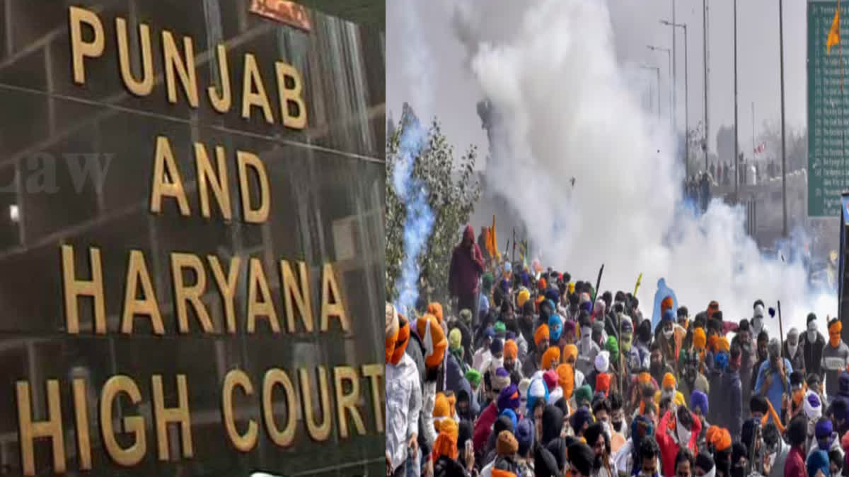 The Punjab-Haryana High Court reprimanded the Haryana and Punjab police on the farmers' movement