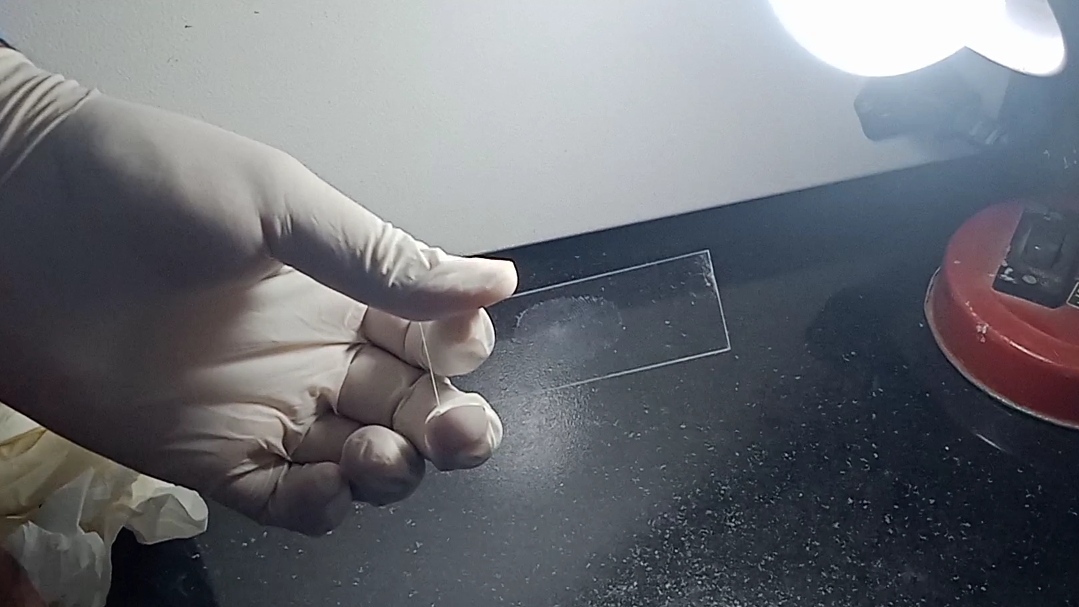 Nano fingerprint powder sagar