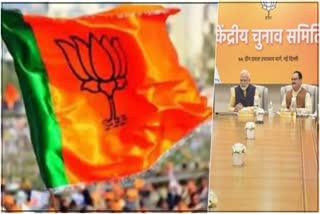 BJP Central Election Committee