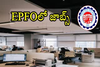 EPFO PA Recruitment 2024