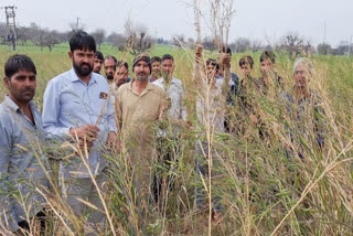 Farmers Protest Charkhi Dadri