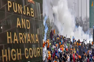 The Punjab-Haryana High Court reprimanded the Haryana and Punjab police on the farmers' movement