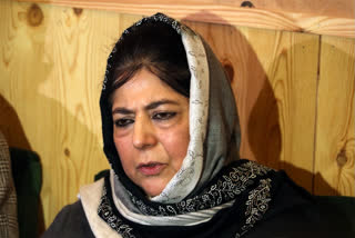 PDP Chief and former Jammu and Kashmir Chief Minister Mehbooba Mufti Thursday alleged that the rat-hole miner Wakeel Hassan, whose house was razed in a demolition drive in Delhi, has been punished only for being a Muslim.