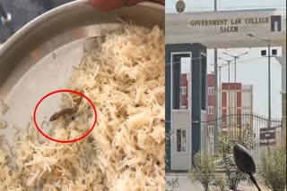 lizard-in-govt-law-college-hostel-food-more-than-10-students-fainted-at-salem