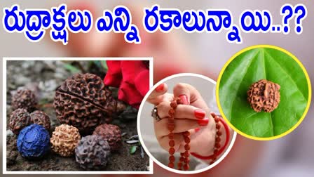 Different Types Of Rudraksha