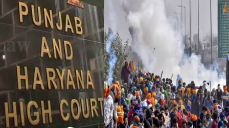 The Punjab-Haryana High Court reprimanded the Haryana and Punjab police on the farmers' movement