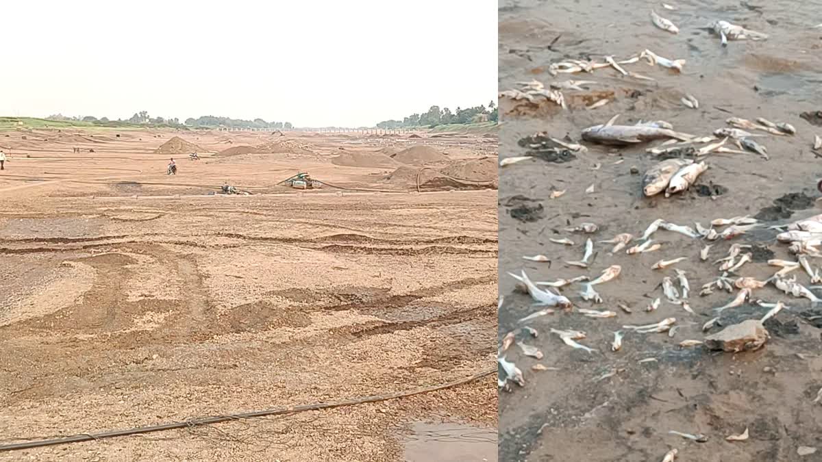 water-problem-has-arisen-because-the-krishna-river-has-dried-up-in-belagavi