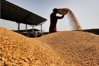 Centre orders mandatory declaration of wheat stock position from April 1