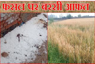 HAILSTORM IN REWARI