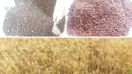 benefits of millets