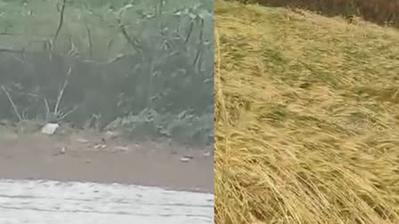 Hailstorm in Dholpur