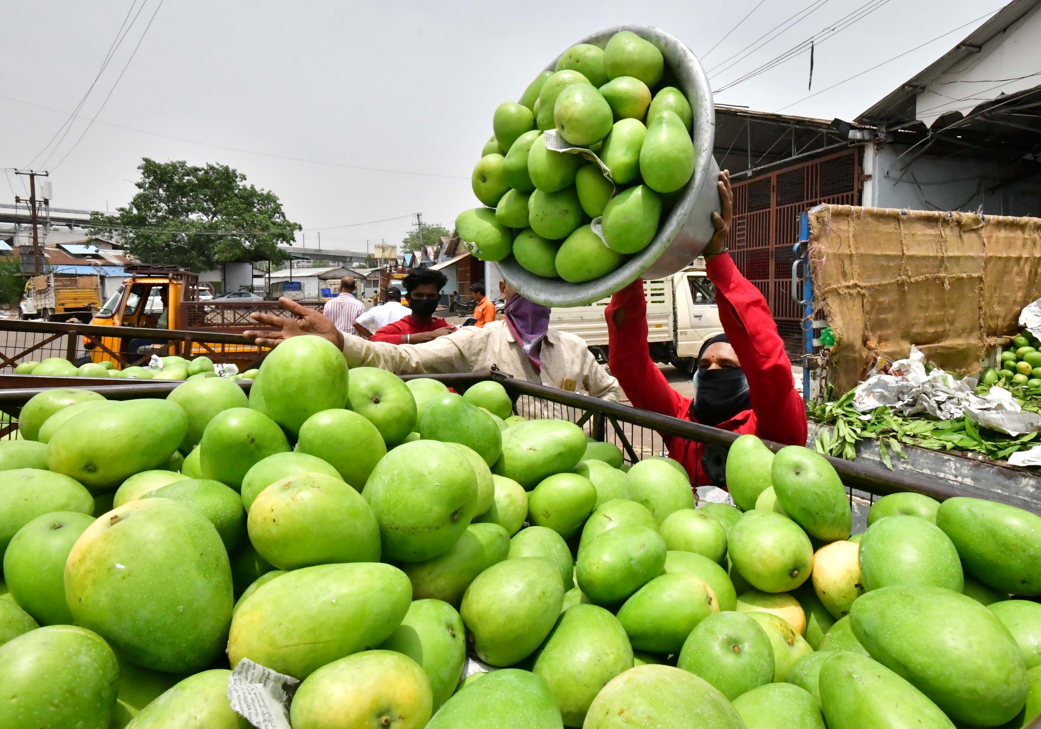 మామిడితో ఊరగాయ రొటీన్ - ఇలా 