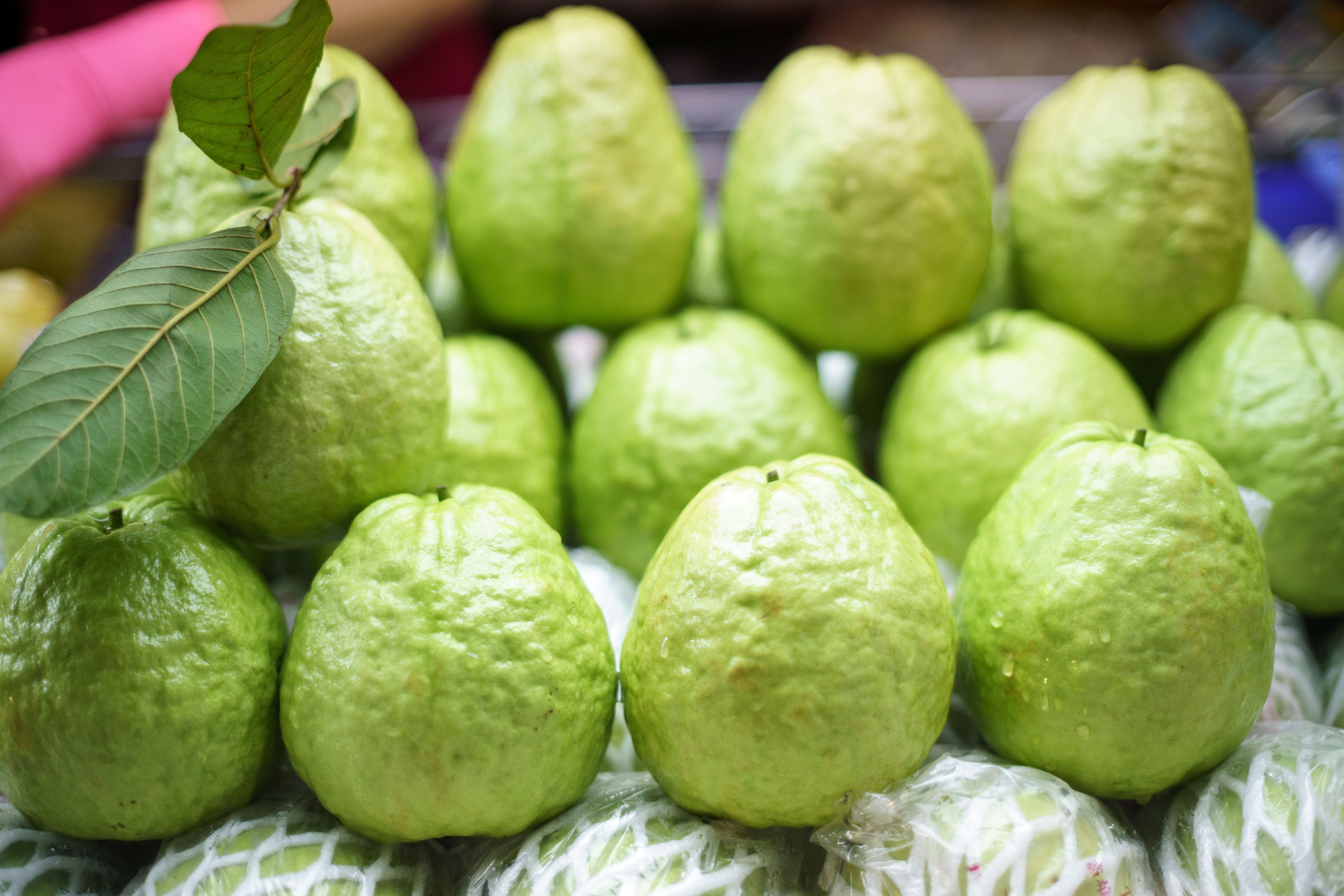 Guava