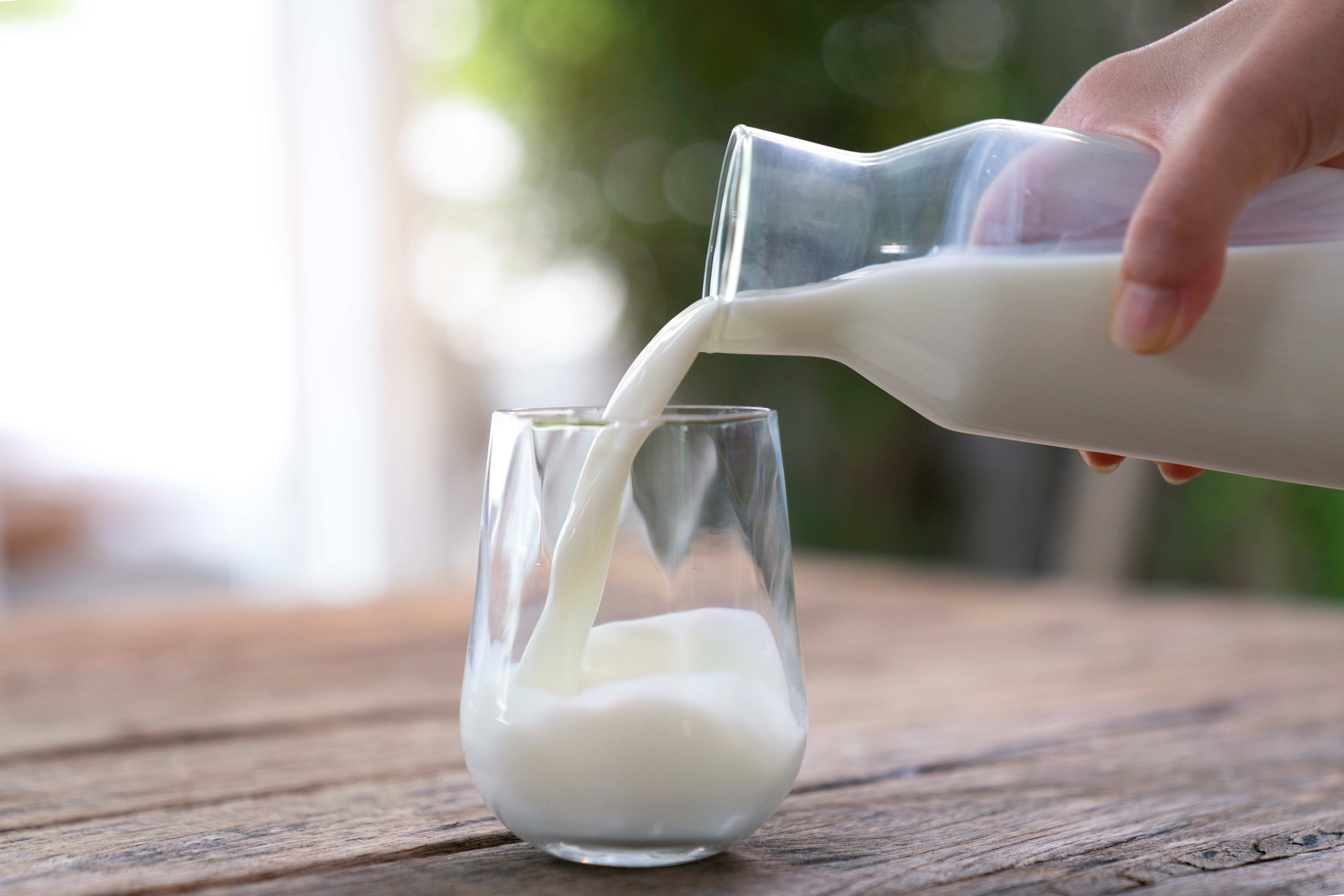 Milk
