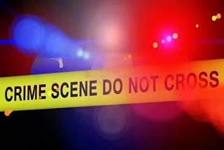 DELHI BED BOX MURDER