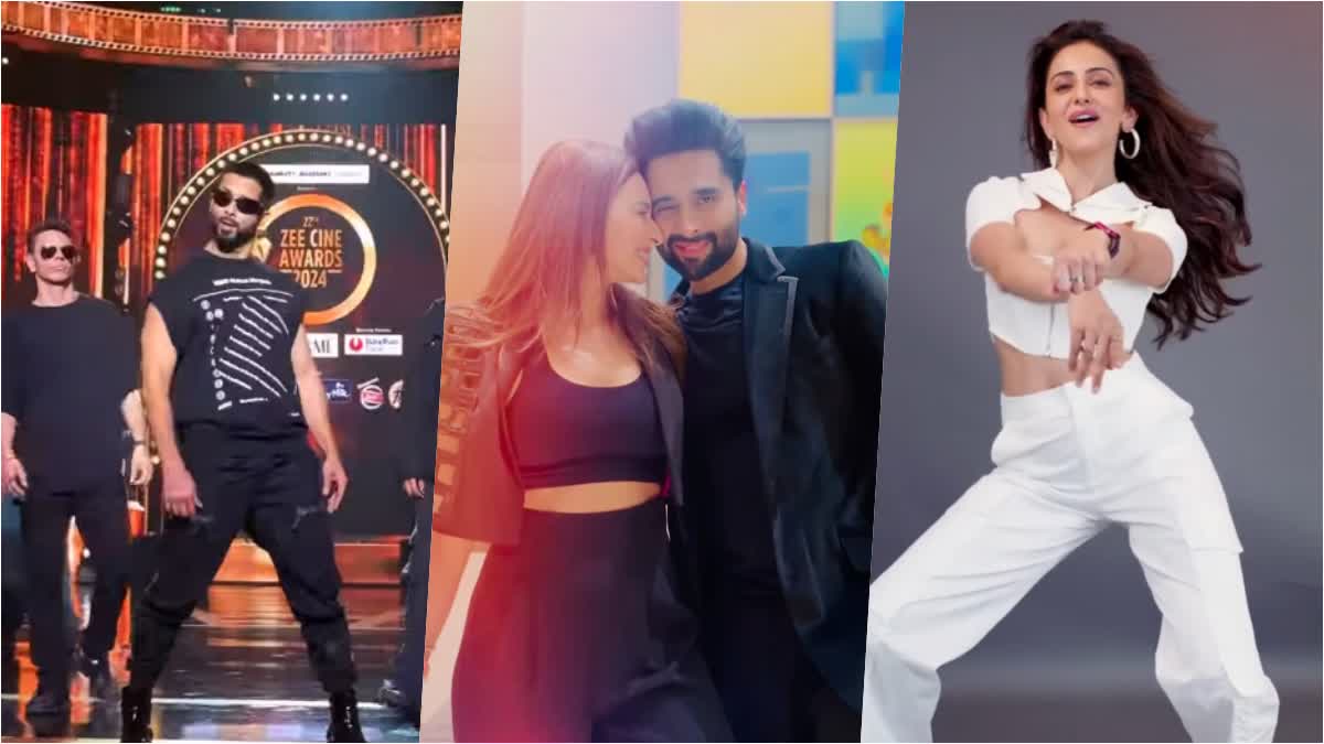 International Dance Day 2024  From Shahid Kapoor to Jackky Bhagnani celebs wish fans Dancing Day