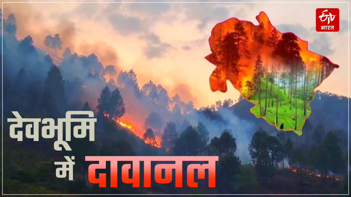 UTTARAKHAND FOREST FIRE