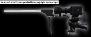 endoscope