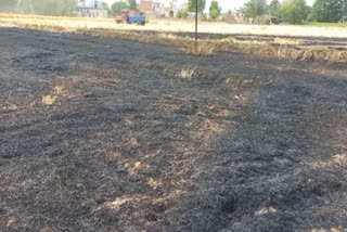 Fire broke out in wheat in Garhi Manto village of Garhshankar, farmers protested against the administration