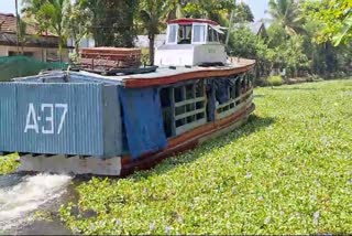 KOTTAYAM TO ALAPPUZHA BOAT SERVICES  ALGAM BLOOM BOAT SERVICES STOPPED  കോട്ടയത്ത് പോള ശല്യം  ബോട്ട് സർവീസുകൾ നിർത്തിവച്ചു