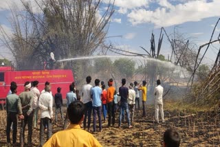 SHIVPURI bamboo field burns