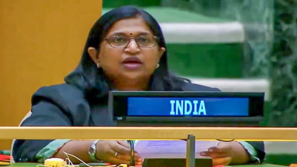 Deputy Permananent Representative to the UN