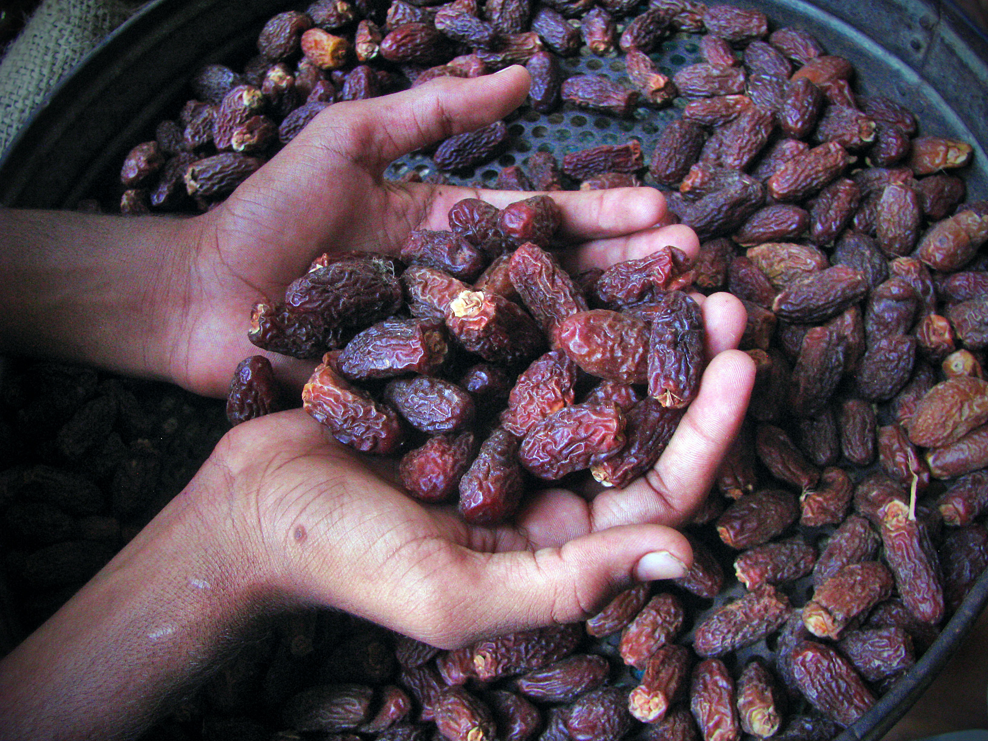 WHAT HAPPENS IF YOU EAT DATES  BENEFITS OF EATING 2 DATES EVERYDAY  HEALTH BENEFITS OF DATES  ಖರ್ಜೂರದ ಅತ್ಯುತ್ತಮ ಪ್ರಯೋಜನಗಳು