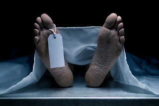Man Beaten To Death After Dispute During Cricket Match In Karnataka; 15 Arrested