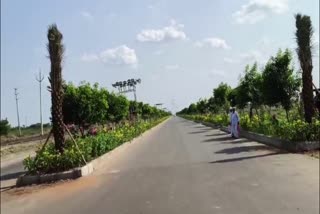 Green Welcome To PM Modi in Amaravati