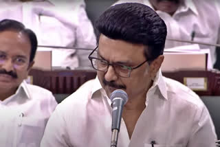 MK Stalin
