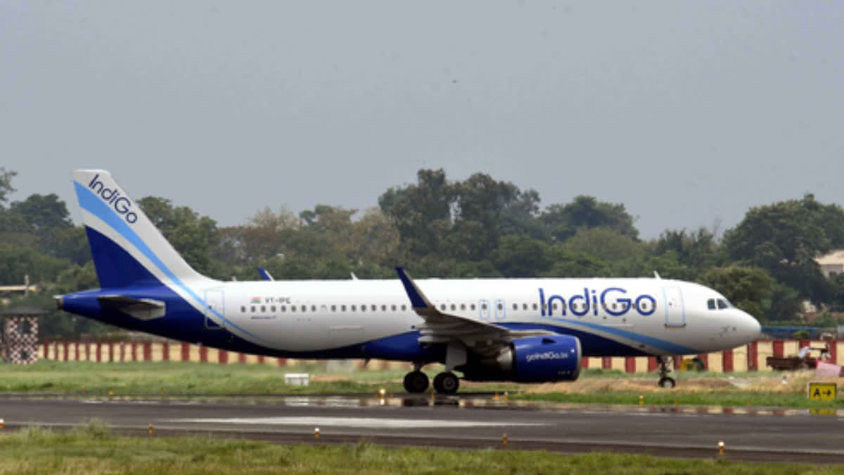 INDIGO LAUNCHED A NEW FEATURE