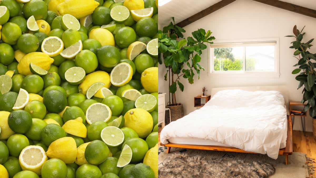 Lemon In Bedroom Benefits