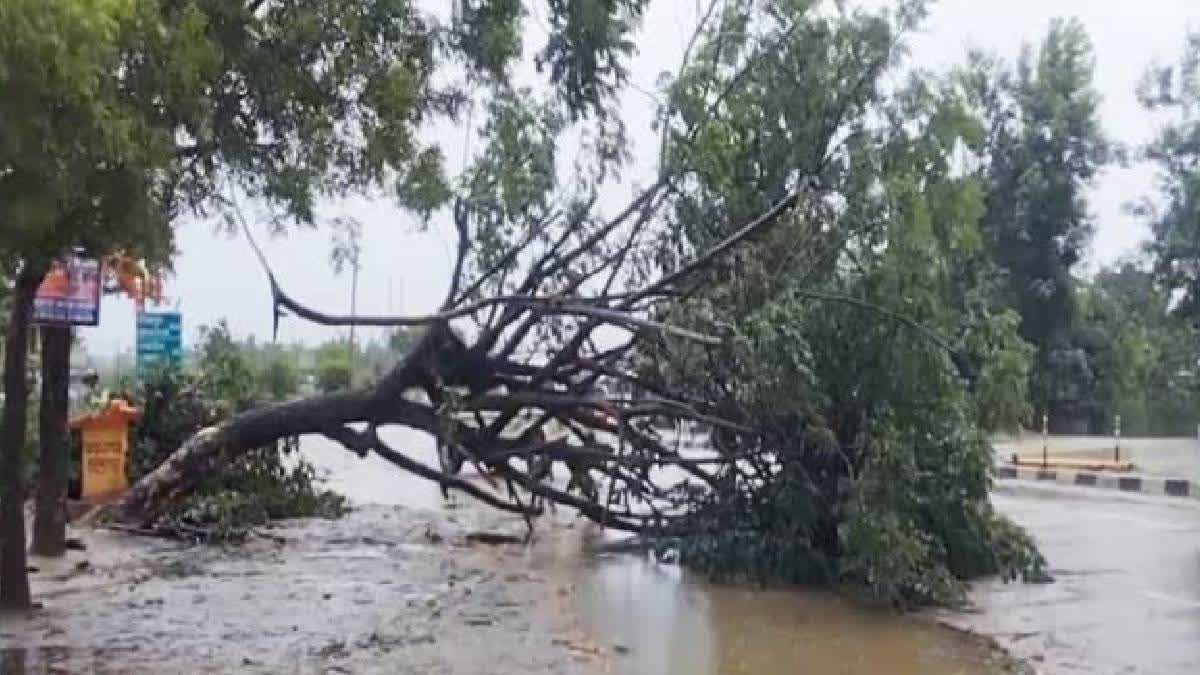 Assam: 9 Districts On 'Red Alert' Due To Cyclone Remal