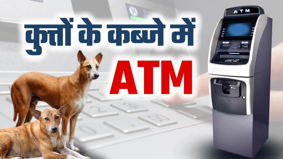 VIDISHA DOGS CAPTURE ATM