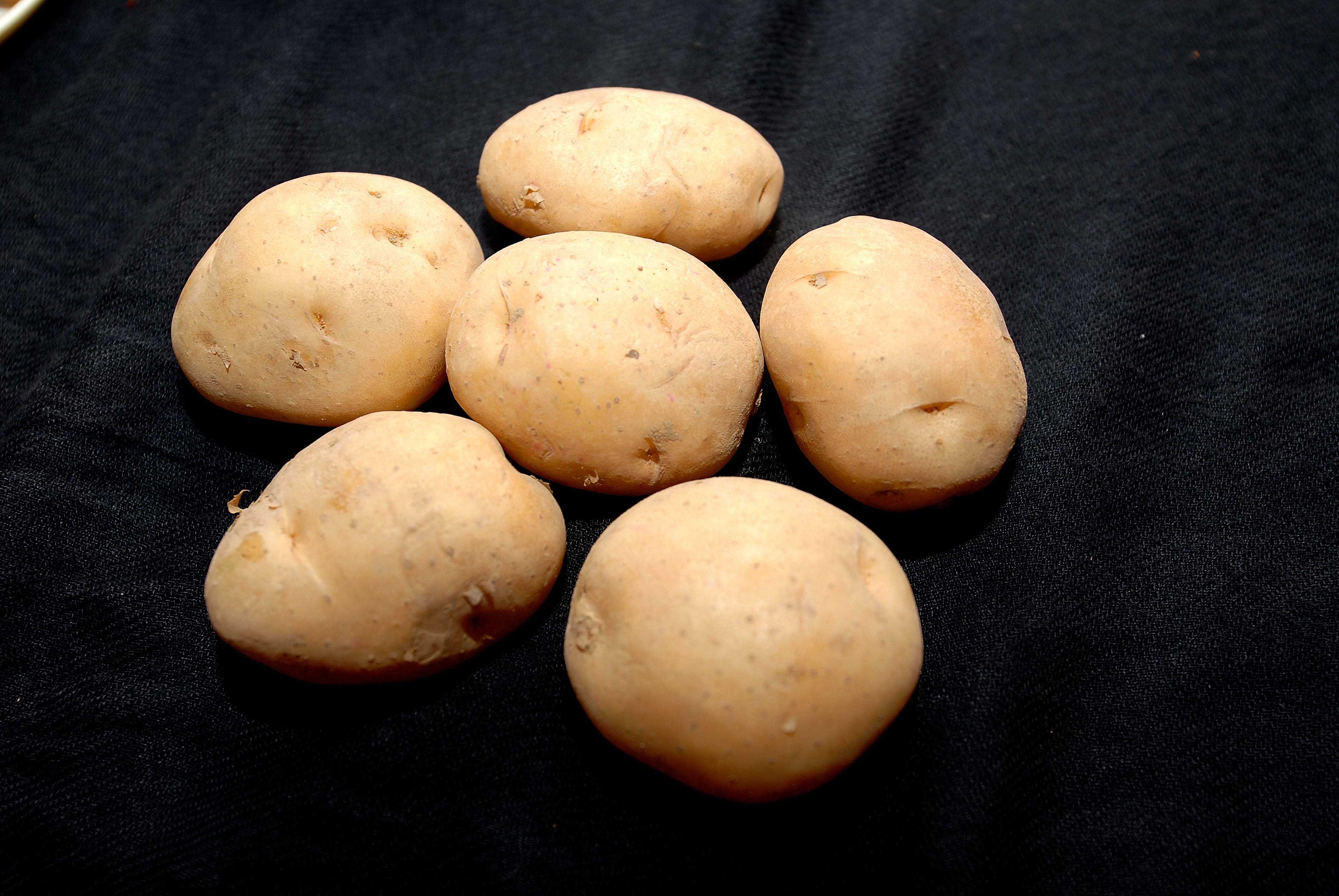 International Day OF Potato