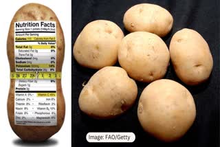 International Day OF Potato 2024