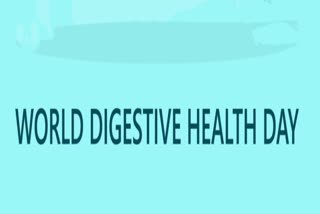 World Digestive Health Day 2024