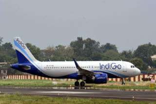 INDIGO LAUNCHED A NEW FEATURE