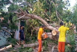 ବୌଦ୍ଧରେ କାଳବୈଶାଖୀ ତାଣ୍ଡବ; ପ୍ରଭାବରେ ବ୍ୟାପକ କ୍ଷୟକ୍ଷତି