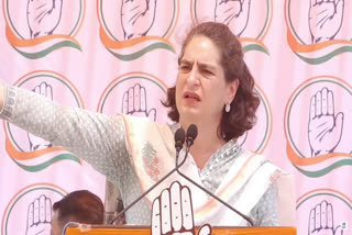 priyanka gandhi kullu rally