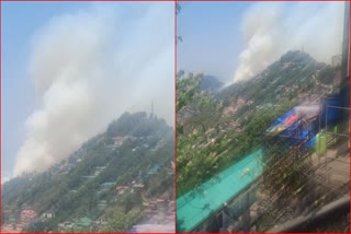 Shimla Fire Break Out in Forest
