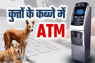 VIDISHA DOGS CAPTURE ATM