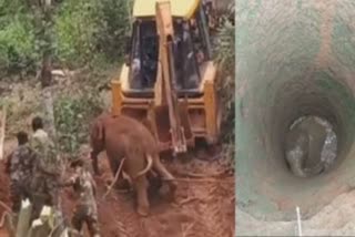 Wild Elephant Fell Into 30 Foot Well