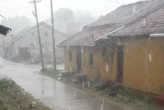 European Union Announces Rs 22.6 Million For Hailstorm Victims In Manipur